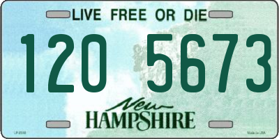 NH license plate 1205673