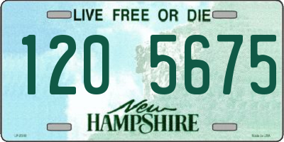NH license plate 1205675