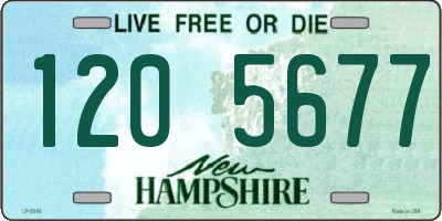 NH license plate 1205677