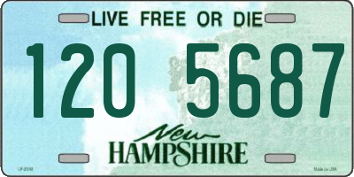 NH license plate 1205687