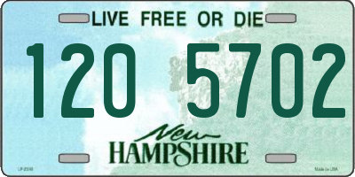 NH license plate 1205702