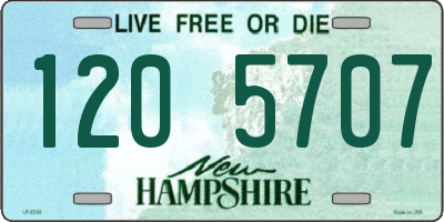 NH license plate 1205707
