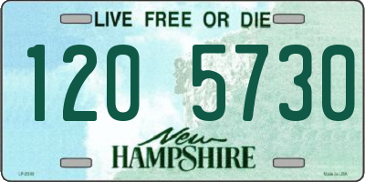 NH license plate 1205730