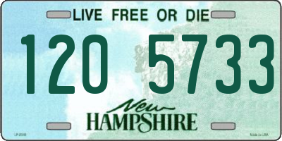 NH license plate 1205733