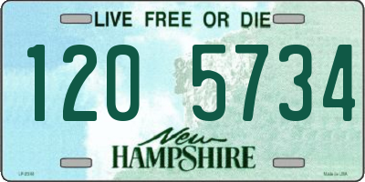 NH license plate 1205734