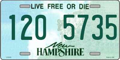 NH license plate 1205735
