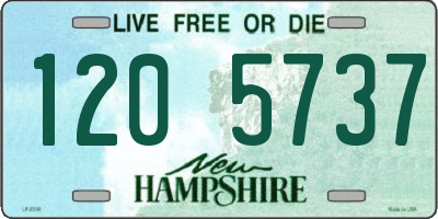 NH license plate 1205737