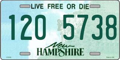 NH license plate 1205738