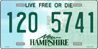 NH license plate 1205741