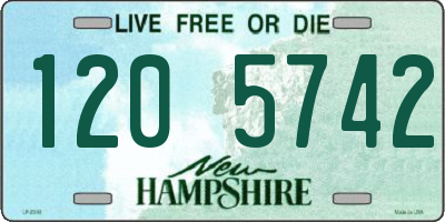 NH license plate 1205742