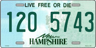 NH license plate 1205743