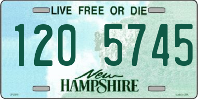 NH license plate 1205745