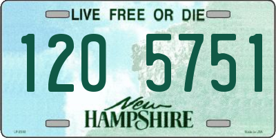 NH license plate 1205751