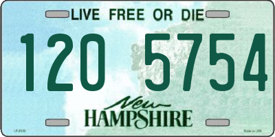 NH license plate 1205754