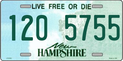 NH license plate 1205755