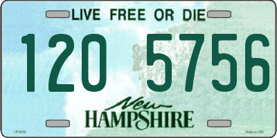 NH license plate 1205756