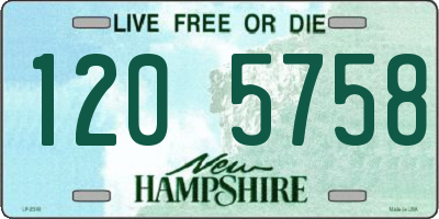 NH license plate 1205758