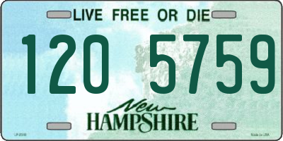 NH license plate 1205759