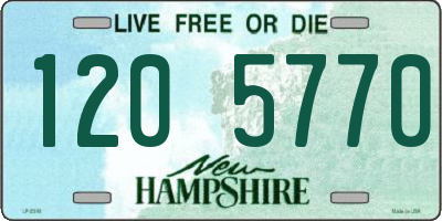 NH license plate 1205770