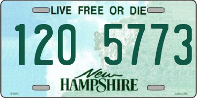 NH license plate 1205773