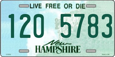NH license plate 1205783