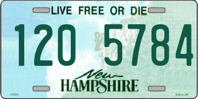NH license plate 1205784
