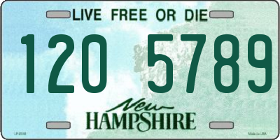 NH license plate 1205789