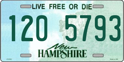 NH license plate 1205793
