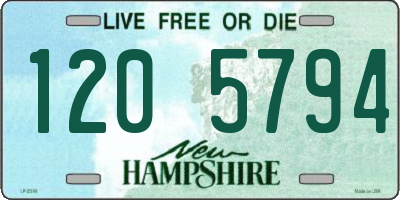 NH license plate 1205794