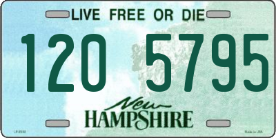 NH license plate 1205795