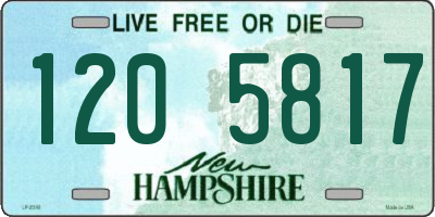 NH license plate 1205817