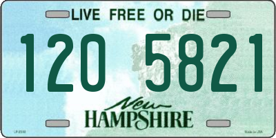 NH license plate 1205821