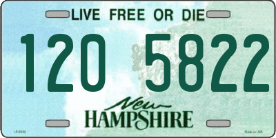 NH license plate 1205822