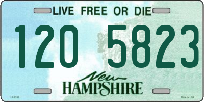 NH license plate 1205823