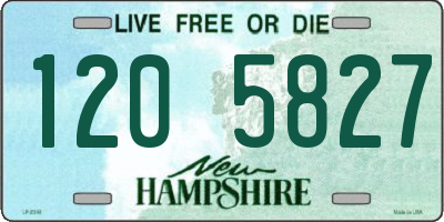 NH license plate 1205827