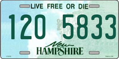 NH license plate 1205833