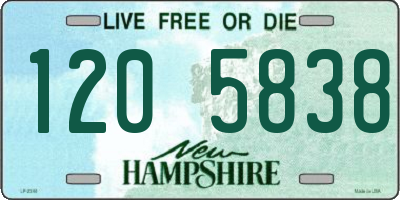 NH license plate 1205838