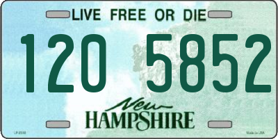 NH license plate 1205852