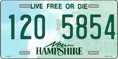 NH license plate 1205854