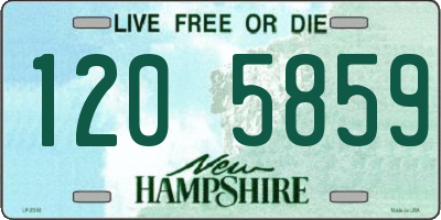 NH license plate 1205859