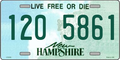 NH license plate 1205861