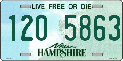 NH license plate 1205863