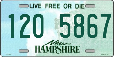 NH license plate 1205867