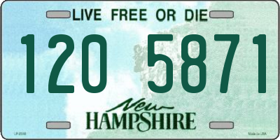 NH license plate 1205871