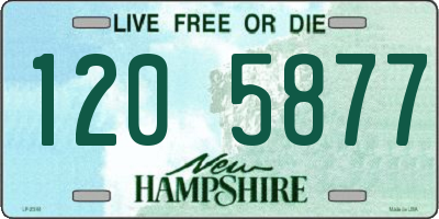 NH license plate 1205877