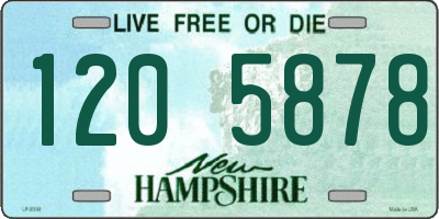 NH license plate 1205878