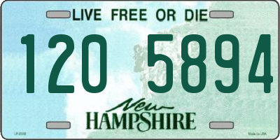 NH license plate 1205894