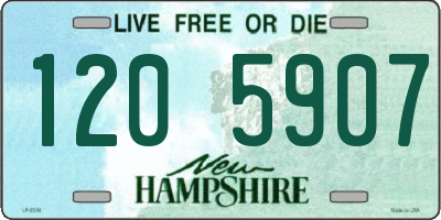 NH license plate 1205907