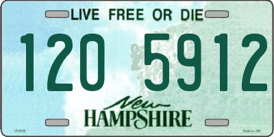 NH license plate 1205912