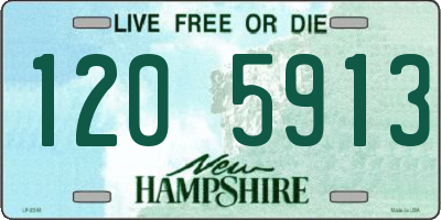 NH license plate 1205913